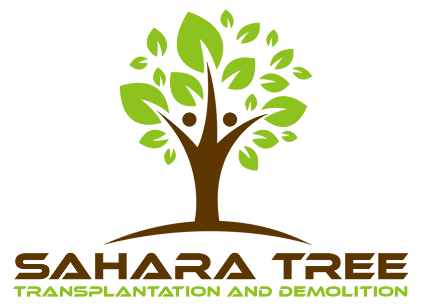 Sahara Tree Transplantation And Demolition